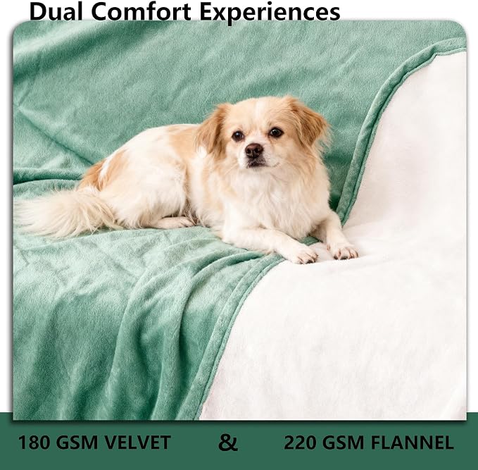 Waterproof Blanket - Reversible Dog Throw as Furniture Protector | Soft Velvet & Flannel, TPU Leak-Proof Liner, Machine Washable, Fits Couch and Bed, 82" x 120", Green/Cream