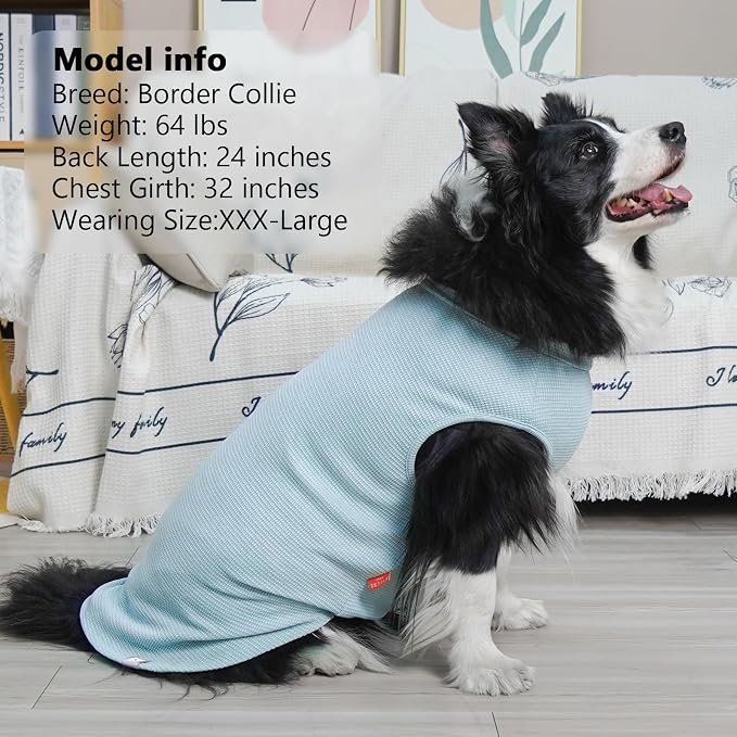 KYEESE 2Pack Waffle Dog Shirt for Large Dogs Striped Dog Sweater Tank Top | Cozy Warmth, Lightweight & Breathable, Gentle on Sensitive Skin, Stretchy & Free to Move, Comfortable Daily Wear