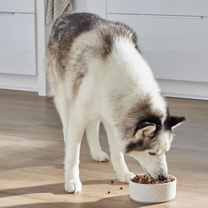 Open Farm RawMix Ancient Grains Dry Dog Food, Tide & Terrain Kibble, 3.5lb | Wild-Alaskan Pollock, Salmon, Grass-Fed Beef, Freeze Dried Raw Chunks, 100% Traceable Ingredients, 3.5lb Bag.