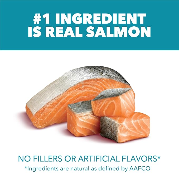 IAMS Proactive Health Indoor Dry Cat Food, Salmon, 22 lb | Veterinarian-recommended, #1 ingredient real salmon, reduces hairballs, supports healthy weight, boosts immune system