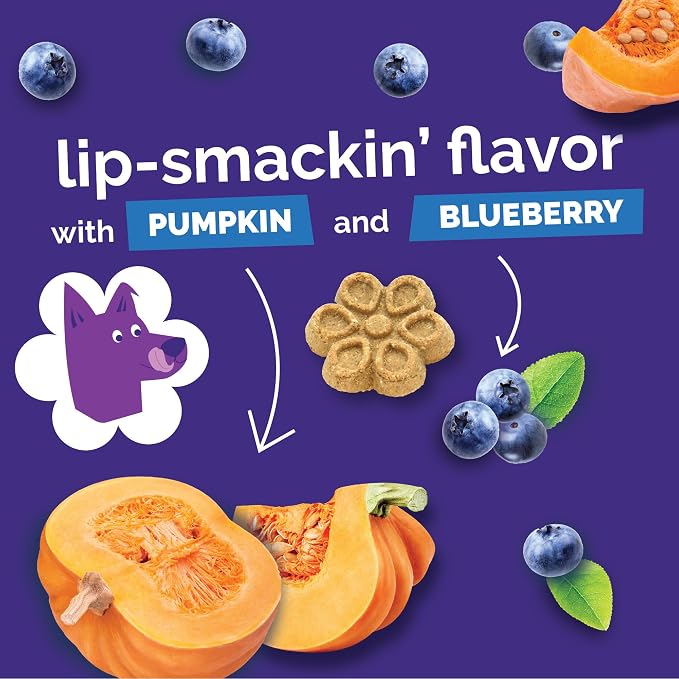 Fruitables Biggies Dog Biscuits, Pumpkin & Blueberry Flavor, 16oz | Healthy Dog Treats, Crunchy Dog Biscuits, Large Breed Snacks, Wholesome Ingredients, Healthy Puppy Snacks, Made in USA