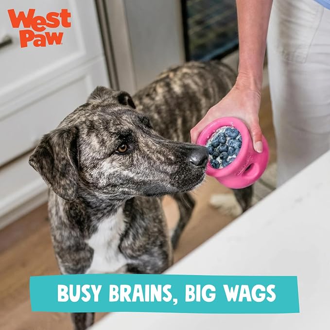 WEST PAW Zogoflex Toppl Interactive Treat Dispensing Puzzle Dog Toy for Mental Stimulation & Enrichment-Holds Kibble & Treats-Lickable, Freezable & Dishwasher Safe-Made in USA-XL-Teal