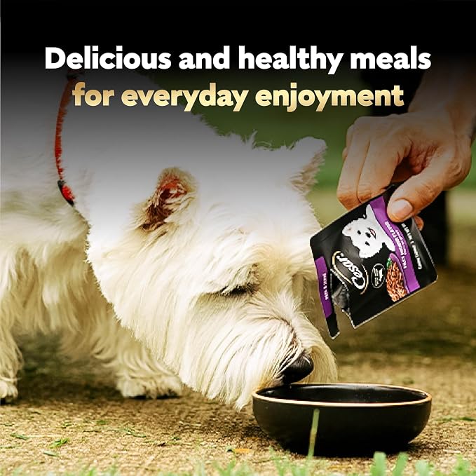 Cesar Mini-Pouch Wet Dog Food, Filet Mignon Flavor, 1.76 oz, 20 Count | Real beef, protein-packed, no fillers or artificial flavors, easy peel-and-serve, slow-cooked tender texture