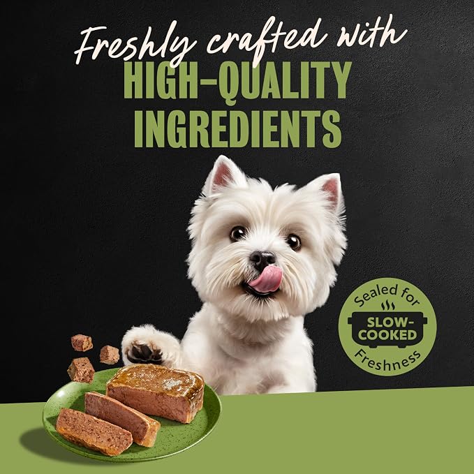 Cesar Classic Loaf in Sauce Wet Dog Food, Top Sirloin, 3.5 oz, 24 Count | Made in USA, Real beef #1 ingredient, no fillers or artificial flavors, 100% complete & balanced, easy peel trays