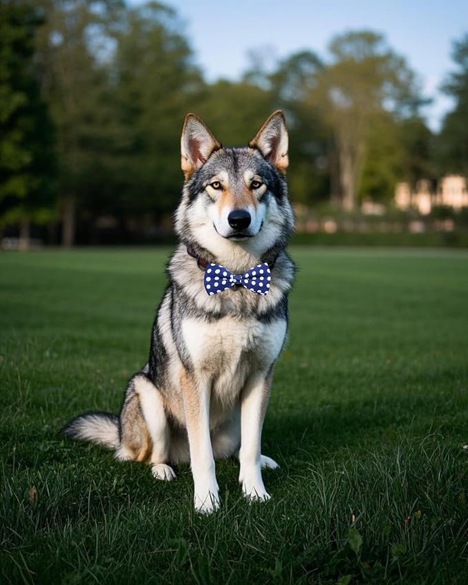 PET SHOW 10 Pack Dot Dog Bowties for Large Dogs Slide on Collar
