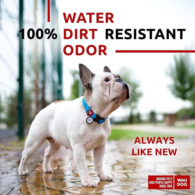 WAUDOG Waterproof Dog Collar Airtag Holder QR Tag Small Medium Large Dogs | Water and Dirt Resistant, Quick Dry QR Pet Tag Adjustable Durable Comfort for Male and Female Dogs Outdoor Walking Training