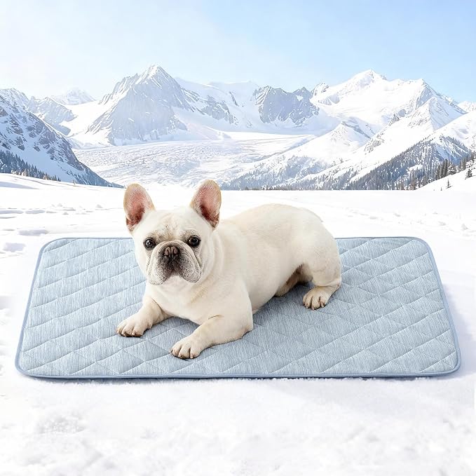 COZY KISS Dog Cooling Mat 27"x36" Q-Max>0.4, Waterproof Pet Bed Cover, Non-Slip Dog Bed Mat, Washable Cooling Pad for Small Dogs, Cats, Crate, Couch, Furniture Protector(Blue)