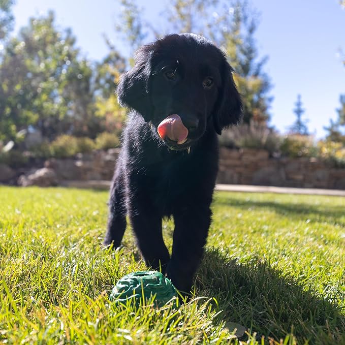 PetKORE Luna Ball - 4" Large, Green, Dog & Puppy Toy, Flexible Rubber, Teething & Chewing, Tactile Surface, Bounce & Fetch, Pet Indoor-Outdoor Play