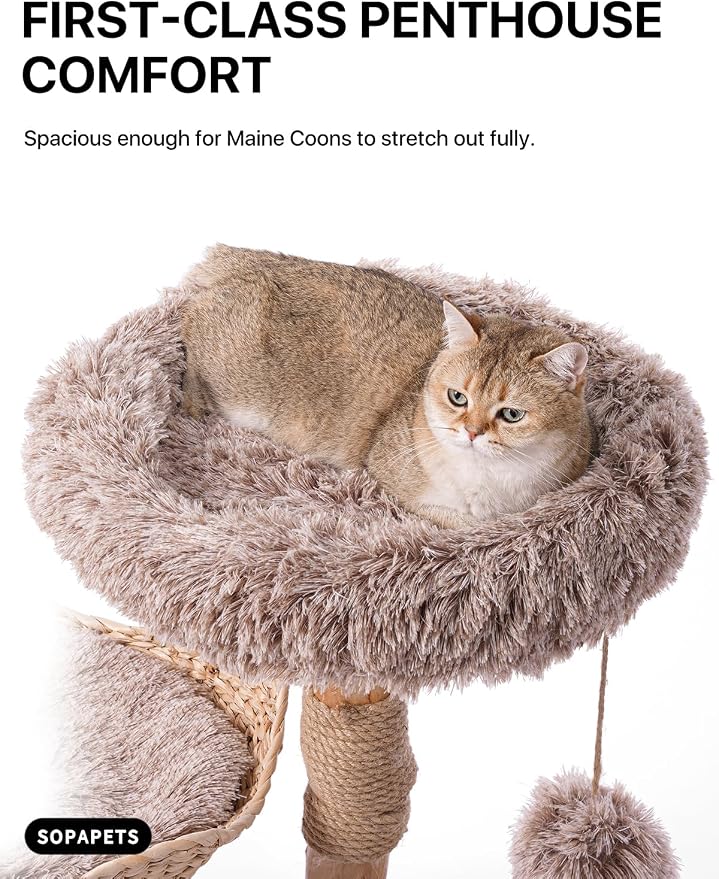 Sopapets Solid Wood Cat Tree with Hand-Woven Basket, 41.3" Natural Wood Cat Tower with Real Branch, Modern Boho Cat Furniture for Indoor Cats & Large Cats, Sisal Scratching Posts, Beige
