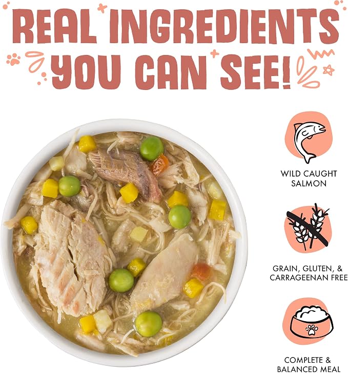 Weruva Classic Dog Food, Jammin' Salmon with Chicken & Salmon in Gravy, 14oz Can (Pack of 12)