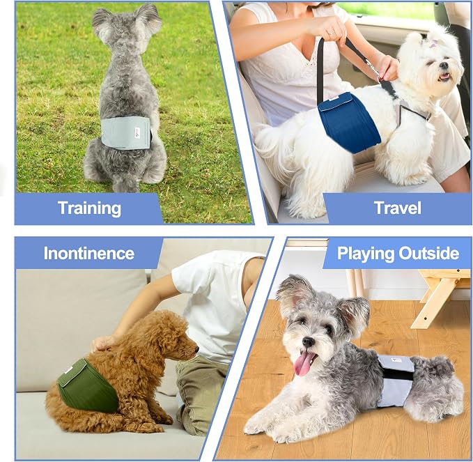 5 Pack Dog Diapers Male Reusable, Premium Belly Bands for Dogs, High Absorbing Male Dog Pee Wraps for Doggie in Incontinence or Excitable Urination Green XL