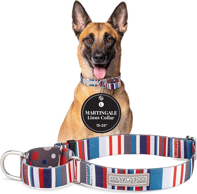 Lucky Love Dog Martingale Collar for Large Dogs No Slip Cute – Linus, Large