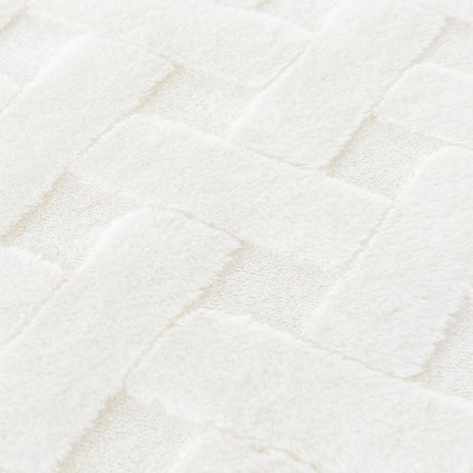 Faux Fur Throw Blanket 50 x 60 inch, 540 GSM Double Sided Outdoor Lap Throw, Soft Cozy Plaid Fleece Blankets for Couch Sofa Office Camping, Shaggy Plush Furry Camping Blanket for Women, White
