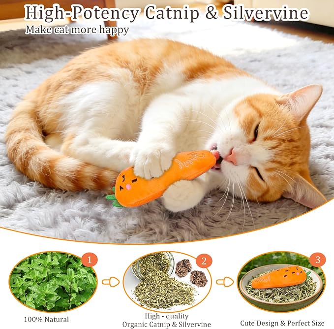 ETEKYER Catnip Cat Toys for Indoor Cats, Vegetable Shape 5 Pack
