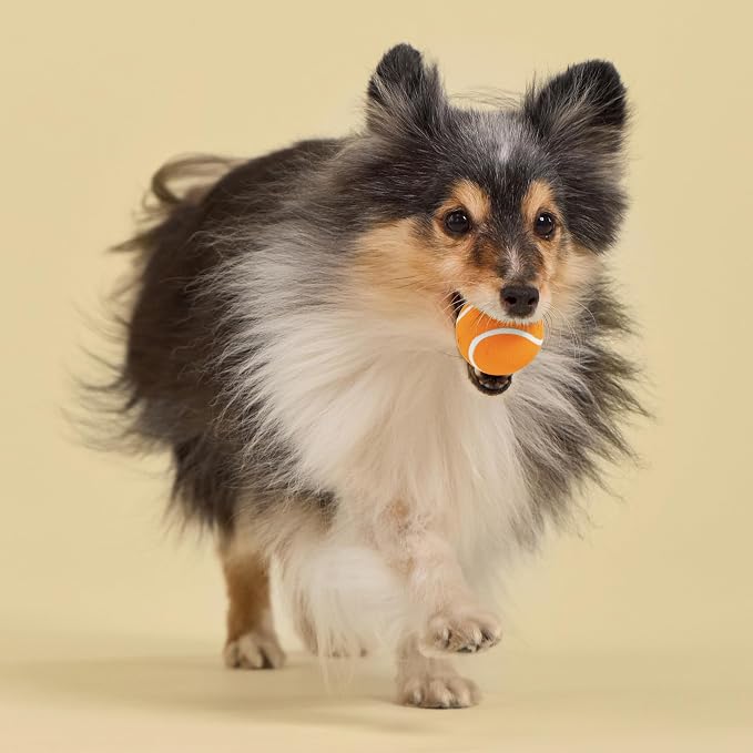 Playology Squeaky Chew Ball Dog Toy - Small, Cheddar Cheese Scent, 3-Pack