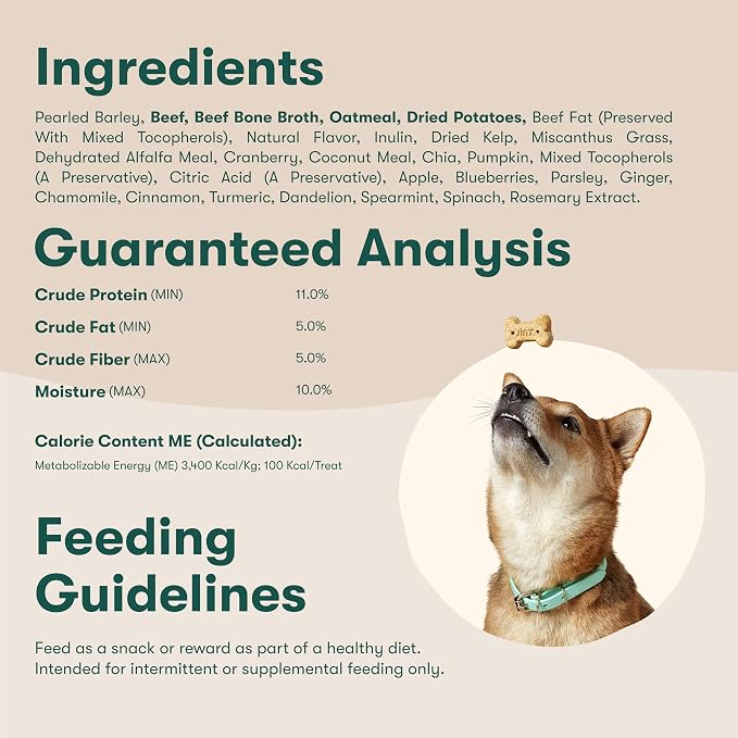 Jinx Oven-Baked Beef Bone Broth Biscuit Treats, Crunchy, All Natural, Superfood-Rich with Real Beef, Pumpkin & Blueberries, 16oz, 4 Pack | 1-Pack Crunchy & Healthy Dog Treat, Superfood-Rich with Real Grass Fed Beef, Dog Cookies for Puppies, Adults & Se...