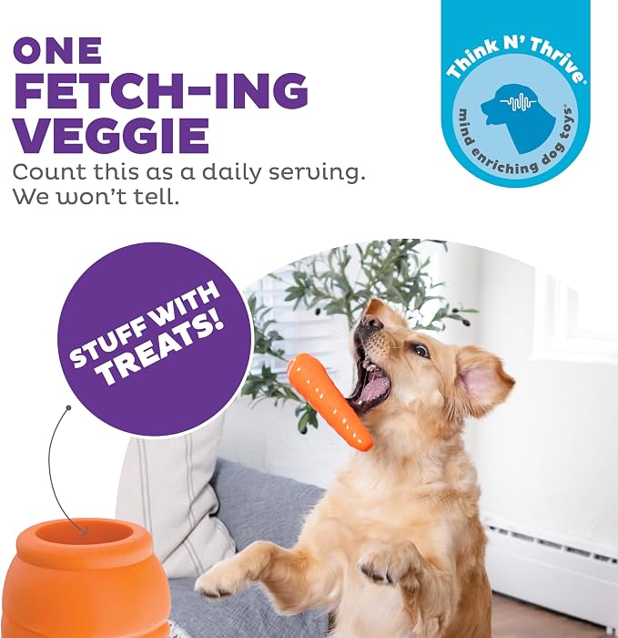 Outward Hound by Planet Dog Foodies Carrot Treat-Dispensing Dog Chew Toy, Orange