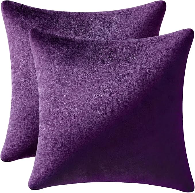 MIULEE Velvet Throw Pillow Covers 16x16 Inch Pack of 2 Eggplant Purple | Soft Solid Small Decorative Pillow Covers, Modern Luxury Home Decor, for Couch Chair Sofa Bedroom Livingroom Car