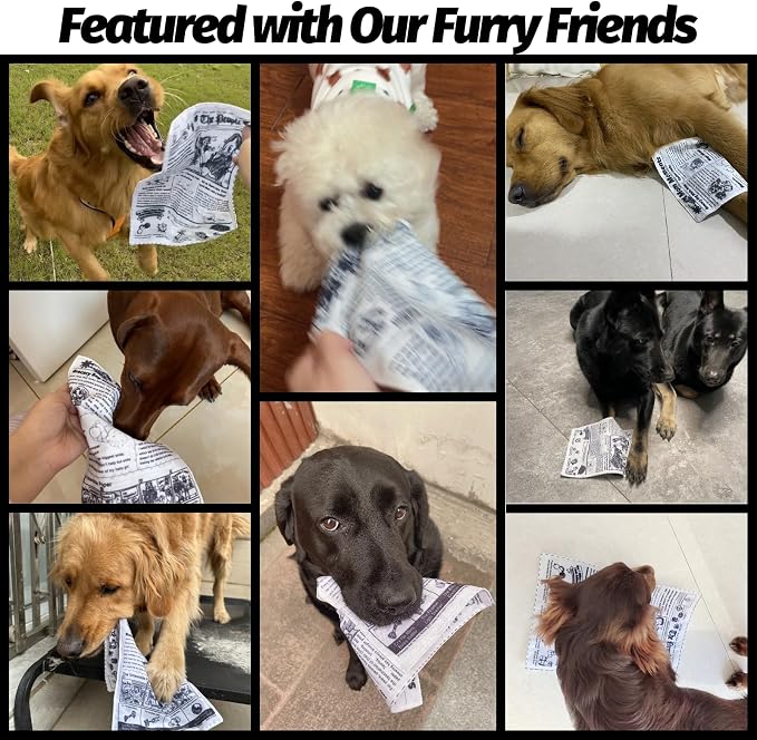Interactive Dog Toys for Boredom - Newspaper Squeaker Toys - 4PCS Newspaper Dog Toy for Puppy Small Medium Furry Friends
