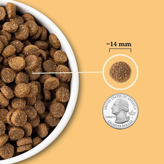ACANA Wholesome Grains Dry Dog Food Poultry & Grains Recipe 22.5lb Bag | High Protein, Made in the USA, Includes Probiotics, Free-Run Poultry, Global Quality Ingredients