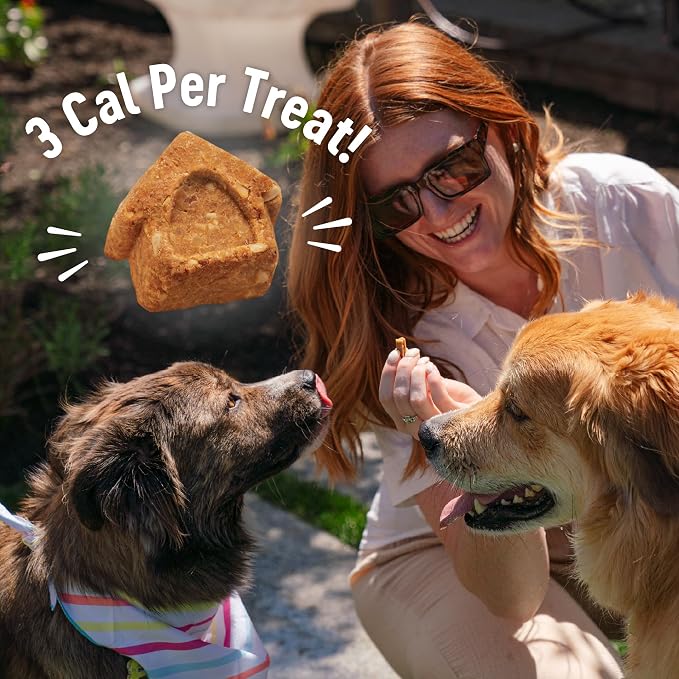 Wellness Crunchy Puppy Bites Dog Training Treats, Natural, Grain Free, Chicken and Carrot Recipe, 6 oz Bag (Pack of 2)