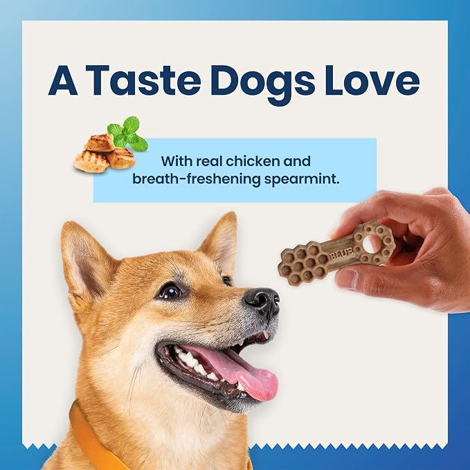 Blue Buffalo Chicken & Spearmint Small Dental Chews, 22.6 oz, 56 ct | 50 Ridges & Grooves Fight Plaque & Tartar, Spearmint Freshens Breath, Natural Ingredients