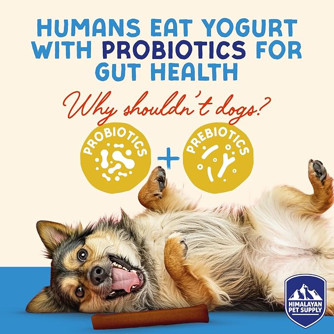 Himalayan Dog Chew Yogurt Sticks, Probiotic Dog Treats, Pumpkin, 5 Treats | Dog Chews With Prebiotics, Probiotics & Protein, Digestive Support, Lactose & Gluten Free, Natural Dog Treats for All Breeds