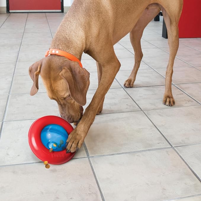 KONG Gyro, Interactive Treat-Dispensing Dog Toy, for Small Dogs | Interactive Treat-Dispensing Toy & Slow Feeder That Supports Healthy Eating & Engaging Mealtime Play