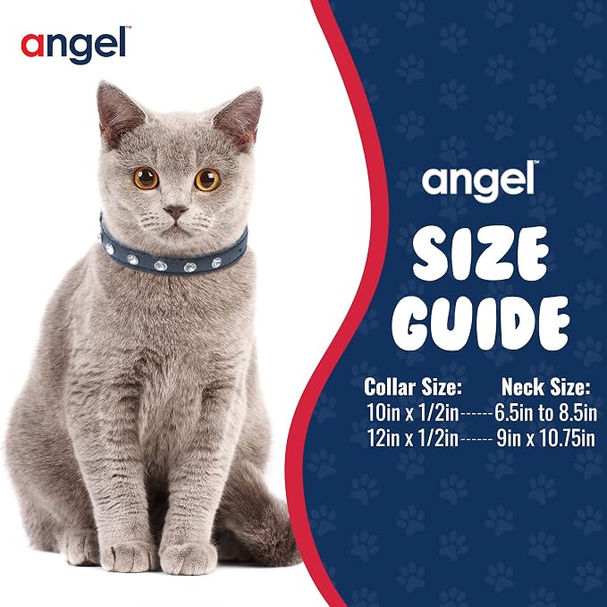 Athens Cat Collar, Leather Kitten Collar w/Rhinestones, Sturdy Breakaway Cat Collar with Bell & Elastic Stretch, Cat Accessories, Midnight Black, 10 x ½ inches - Angel Pet Supplies