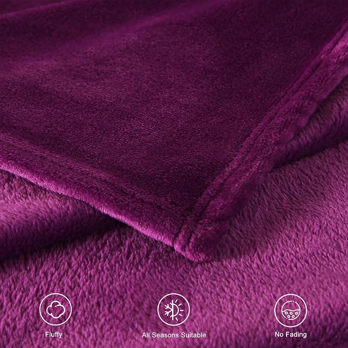 TASTHROW Purple Throw Blanket 60x80 Inches | Soft Plush Cozy Fleece Flannel Throw Blanket, Lightweight Warm Throws for Bed, Couch, Bedroom and Living Room, All Seasons