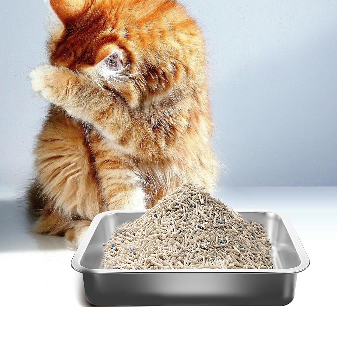 Stainless Steel Cat Litter Tray Open Metal Pan Kitten Toilet with Stable Bottom for Easy pet Housebreaking