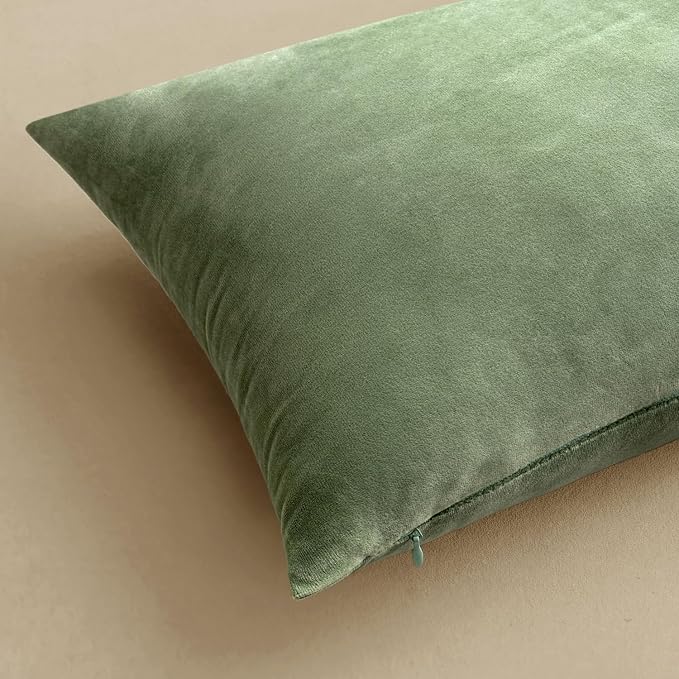 MIULEE 24x24 Inch Pack of 2 Euro Velvet Throw Pillow Covers Sage Green | Soft Solid Decorative Euro Sham, Modern Luxury Home Decor, for King Bed Sofa Couch Bedroom Livingroom
