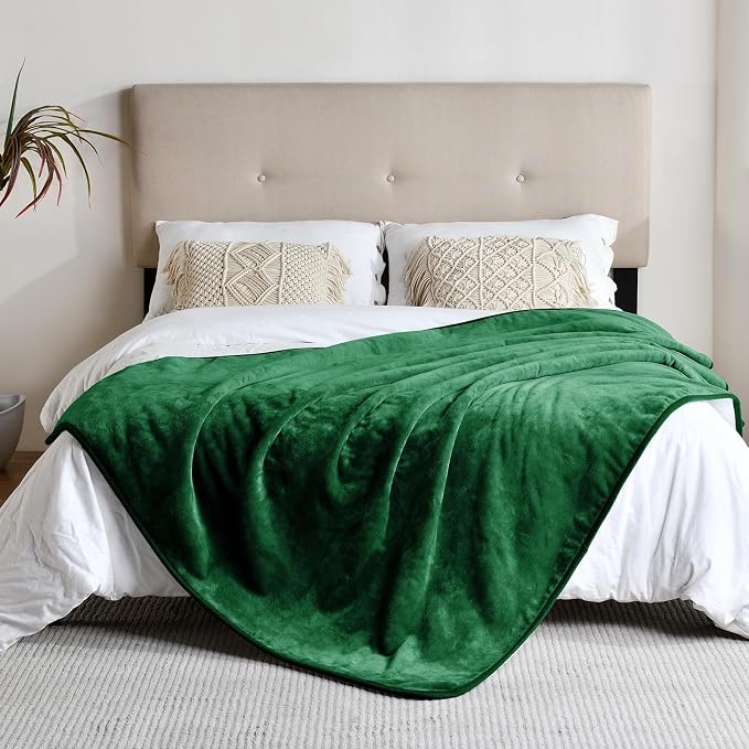 Soft Waterproof Blanket for Bed Couch Sofa, Green, 60x80 inches | Liquid Pee Proof Pet Blanket for Dog Puppy Cat, Reversible Sherpa Fleece Blanket for Couch Cover, Furniture Protector