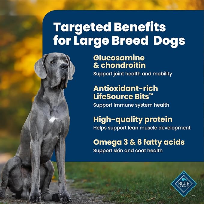 Blue Buffalo Life Protection Formula Lamb Large Breed Dry Dog Food, 34 lb | Real Lamb #1 Ingredient, Glucosamine for Joint Health, Antioxidant-Rich LifeSource Bits, Formulated for Large Breed Dogs