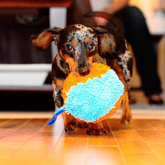 Chuckit! Indoor Fetch Shaker Dog Toy, 7.75in, Orange and Blue