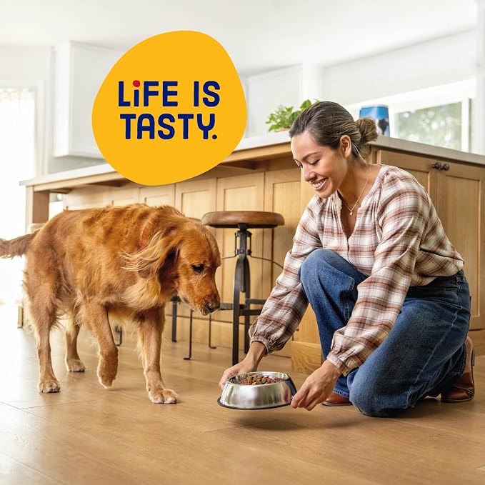 Kibbles 'n Bits Original Dry Dog Food, Beef & Chicken Flavors, 3.5 lb. Bag | Complete & Balanced Nutrition Formulated For Adult Dogs With Essential Vitamins & Minerals, Crunchy Kibble Pieces