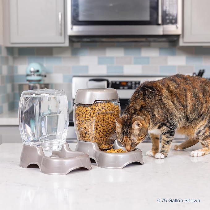 Petmate Pet Cafe Gravity Water Dispenser, 0.75 GAL, Pearl Gray | Bowl for Cats and Dogs, USA Made