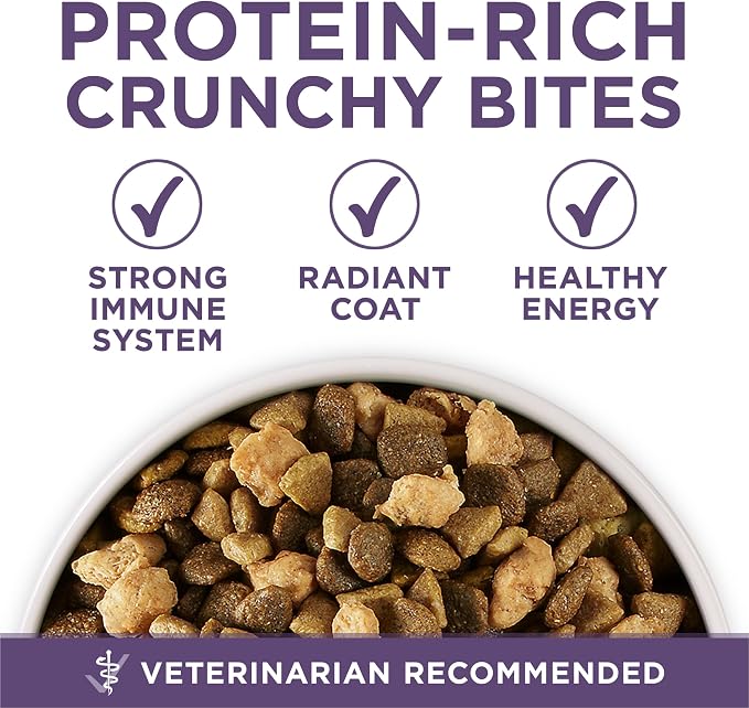 Purina ONE Plus Senior Dry Dog Food, Adult 7+, 16.5 lb Bag