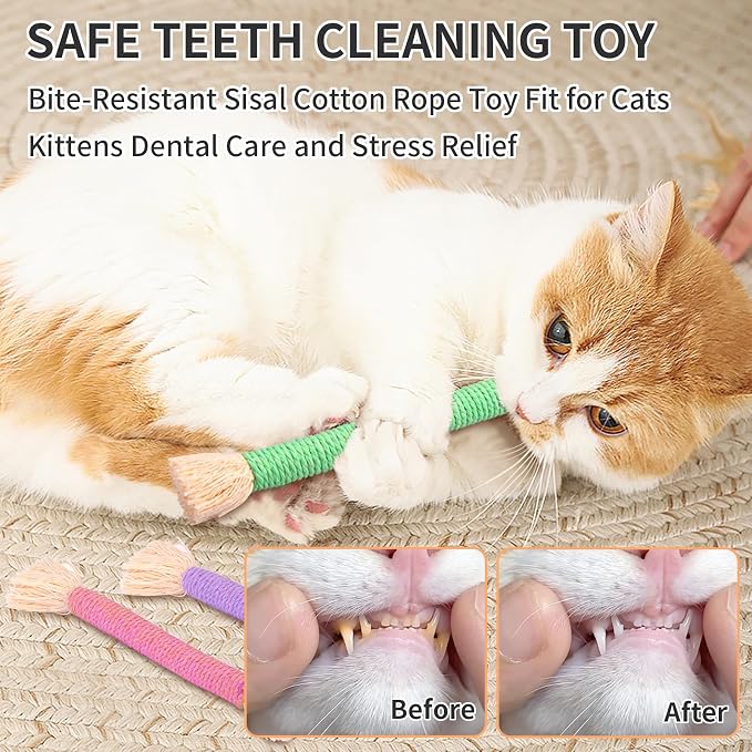 Retro Shaw Catnip Cat Toys Rope, Kitten Chew Toy for Indoor Cats, 6 Pack