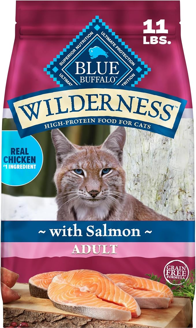 Blue Buffalo Wilderness Salmon Adult Dry Cat Food, Grain-Free, 11 lb | Real Salmon #1 Ingredient, High Protein Nutrition, Supports Immunity with Antioxidant-Rich LifeSource Bits