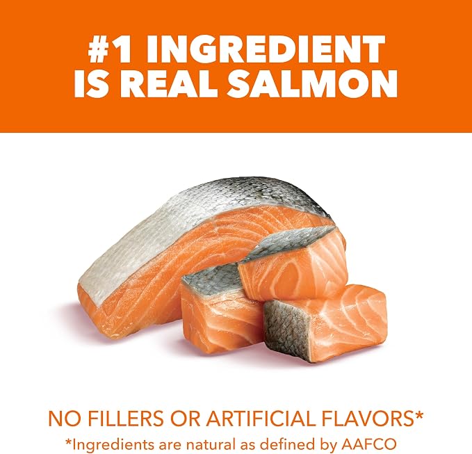 IAMS Proactive Health Healthy Adult Dry Cat Food, Salmon, 22 lb | Veterinarian-recommended, real salmon #1 ingredient, supports muscle, heart, digestion, skin & teeth