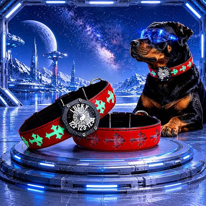 Light Up Glow Dog Collar with Chinese Style AirTag Holder