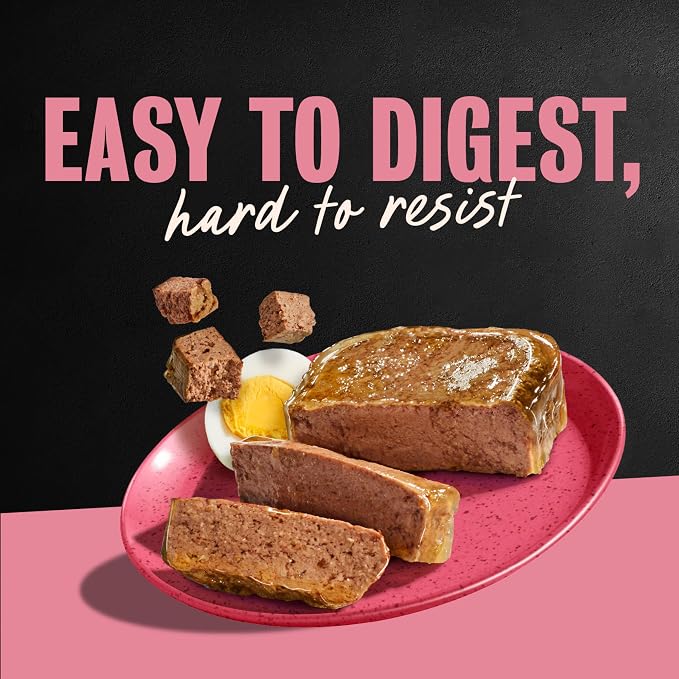 Cesar Classic Loaf Wet Dog Food, Breakfast Selects, 3.5 oz, 12 Count, 2-pk | Made in USA, Bacon & Egg & Egg & Sausage flavors, real pork #1 ingredient, no fillers or artificial flavors, easy peel trays