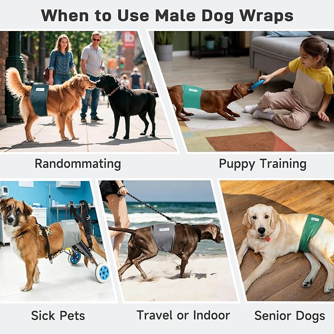 Langsprit Small Male Dog Diapers for Doggie Puppy,Reusable Belly Bands for Male Dogs Wraps,Washable Doggy Dog Diapers Medium Large in Incontinence 5 Pack (Green Grey, Large)