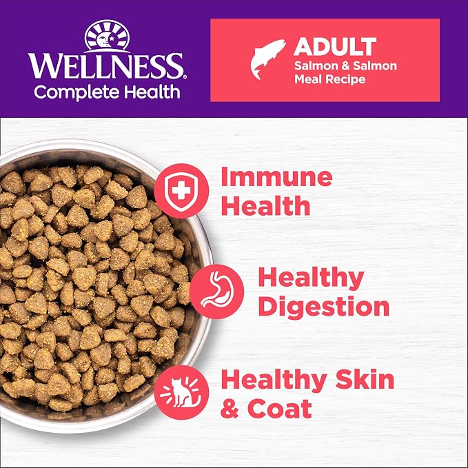 Wellness Complete Health Adult Dry Cat Food, Natural, Wholesome Grains Kibble, Salmon Recipe, 5 lb Bag