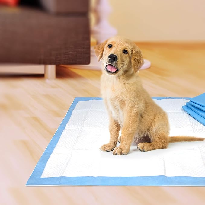 Four Paws Pet Select Pee Pee Pads for Dogs and Puppies 100 Count Standard: 22" x 22" | Leak-proof, 12 hour floor protection, quilted potty training pads, 5 layers, 22" x 22"