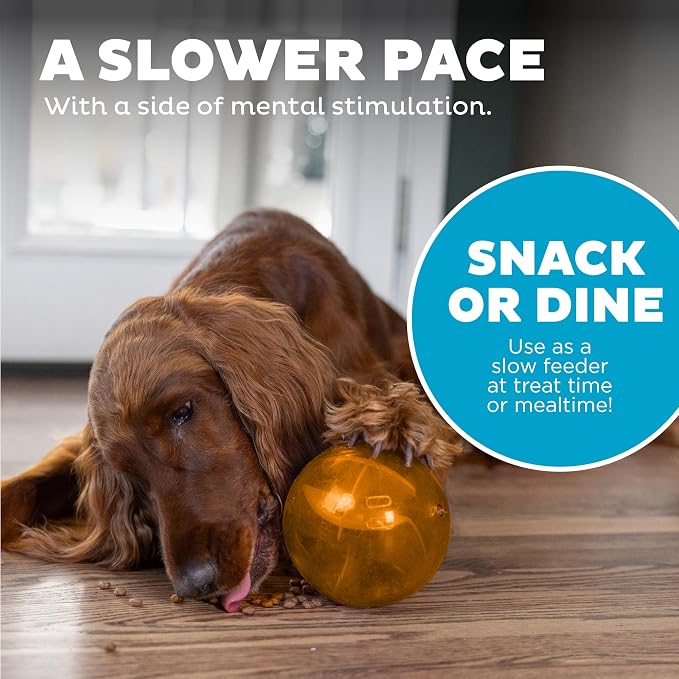 Outward Hound Orbee-Tuff Mazee Interactive Dog Puzzle Toy, Treat Dispensing Slow Feeder Ball, Orange, 4.7-Inch