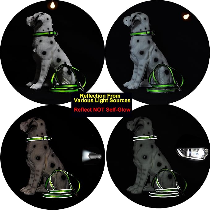 Mile High Life Reflective Dog Collar, Adjustable Lightweight Quick Release