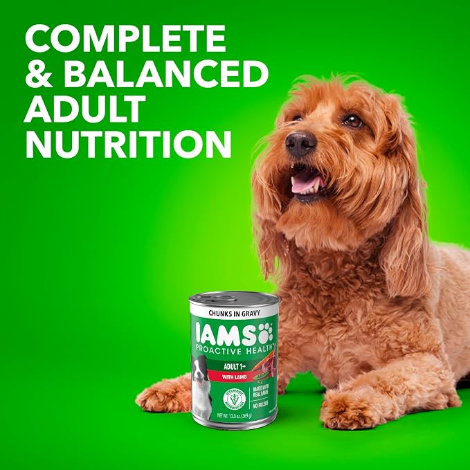 IAMS Proactive Health Chunks in Gravy Wet Dog Food, Lamb, 13 oz, 12 Pack | Real lamb, Omega 6 fatty acids, 100% complete & balanced, no artificial flavors or soy, supports healthy skin & coat, canned