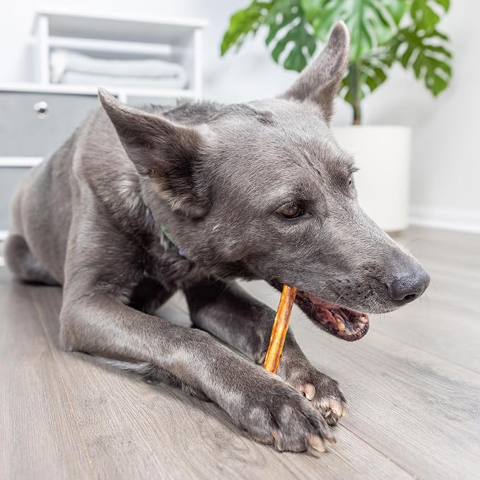 Wild Eats Real Salmon Collagen Bully Sticks for Dogs, 15 Count, 1cm Thick | Long lasting chew treats, satisfies natural gnawing urges, keeps pups busy and engaged, suits small, medium and big breeds